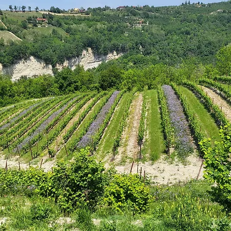 Casa Di Langa